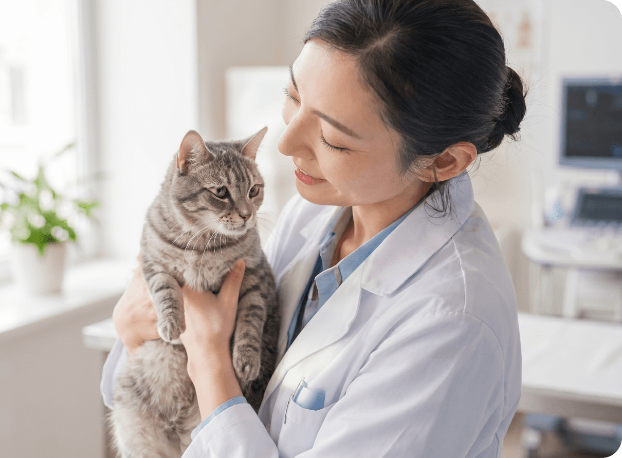 猫を抱きかかえる獣医師